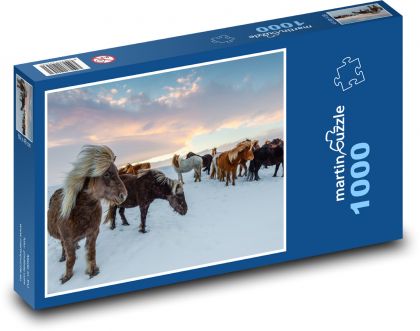 Island - Pferde - Puzzle - 1000 Teile
