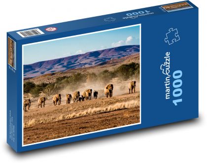 Afrika - sloni - Puzzle 1000 dílků, rozměr 60x46 cm