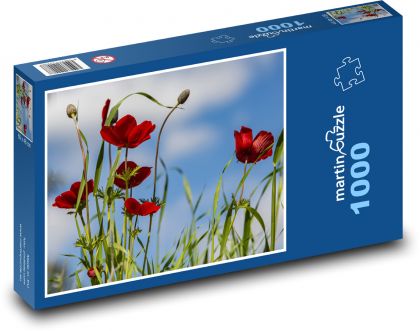 Kwiaty, maki - Puzzle 1000 elementów, rozmiar 60x46 cm