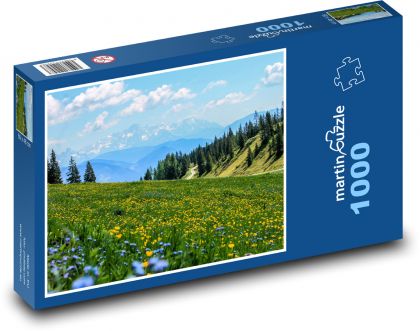 Mountain meadow - Puzzle 1000 pieces, size 60x46 cm 