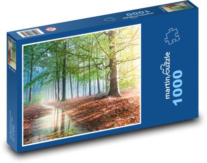Slnko v jesennom lese - Puzzle 1000 dielikov, rozmer 60x46 cm