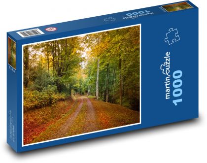 Autumn, road, forest - Puzzle 1000 pieces, size 60x46 cm 