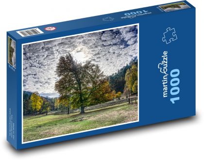 Park, strom, obloha - Puzzle 1000 dílků, rozměr 60x46 cm