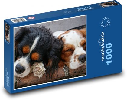 Śpiące psy - Puzzle 1000 elementów, rozmiar 60x46 cm
