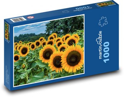 Slnečnica - Puzzle 1000 dielikov, rozmer 60x46 cm