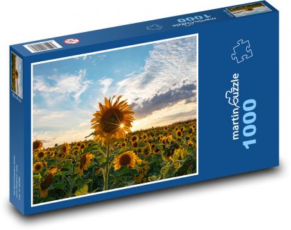 Slunečnicové pole - Puzzle 1000 dílků, rozměr 60x46 cm