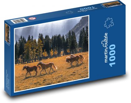 Natura, konie - Puzzle 1000 elementów, rozmiar 60x46 cm