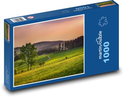 Road, nature - Puzzle 1000 pieces, size 60x46 cm 