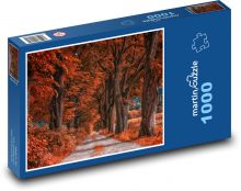 Cesta, jeseň Puzzle 1000 dielikov - 60 x 46 cm 