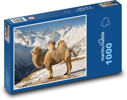 Velbloud v horách - puzzle 1000 dílků