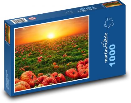 Pumpkin field - Puzzle 1000 pieces, size 60x46 cm 