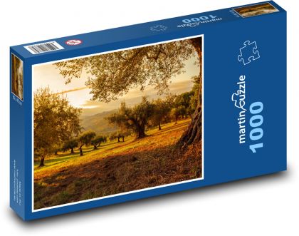 Stromy, sad - puzzle 1000 dílků