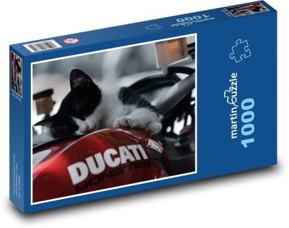 Mačiatko na motorke - Puzzle 1000 dielikov, rozmer 60x46 cm
