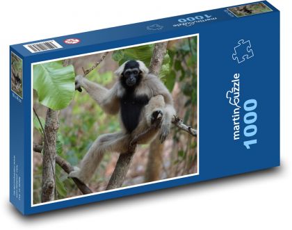 Jungle - monkey - Puzzle 1000 pieces, size 60x46 cm 