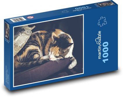 The cat is sleeping - Puzzle 1000 pieces, size 60x46 cm 