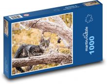 Kočka na stromě Puzzle 1000 dílků - 60 x 46 cm