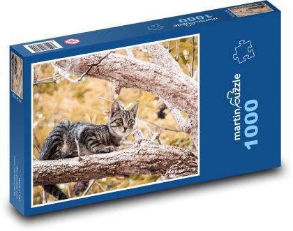 Kočka na stromě - Puzzle 1000 dílků, rozměr 60x46 cm