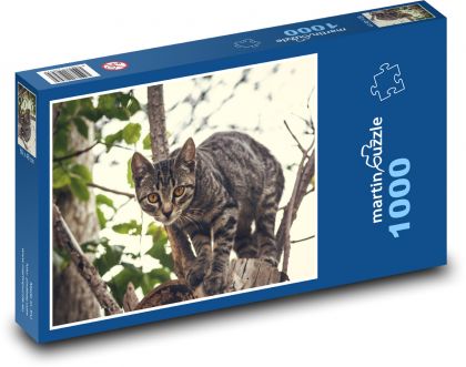 Kočka domácí - Puzzle 1000 dílků, rozměr 60x46 cm