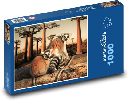 Lemur kata - Puzzle 1000 dielikov, rozmer 60x46 cm