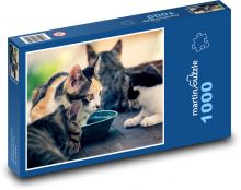 Koty Puzzle 1000 elementów - 60x46 cm