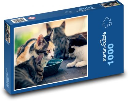 Mačky - Puzzle 1000 dielikov, rozmer 60x46 cm