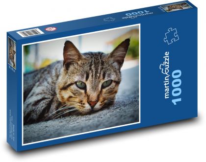 Cat - Puzzle 1000 pieces, size 60x46 cm 