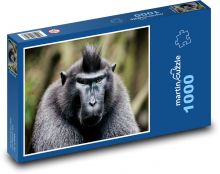Opice Puzzle 1000 - 60x46 cm