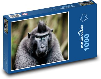 Affe - Puzzle - 1000 Teile