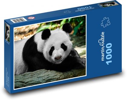 Panda veľká - Puzzle 1000 dielikov, rozmer 60x46 cm