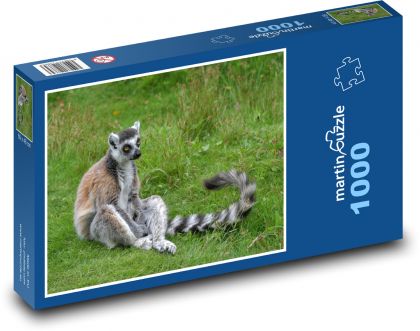 Lemur - Puzzle 1000 pieces, size 60x46 cm 