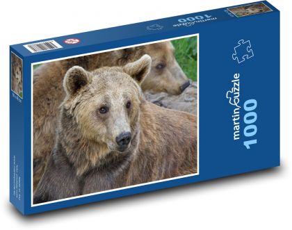 Medvěd hnědý - Puzzle 1000 dílků, rozměr 60x46 cm