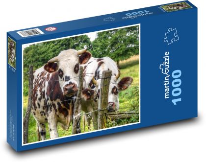 Krávy - Puzzle 1000 dílků, rozměr 60x46 cm