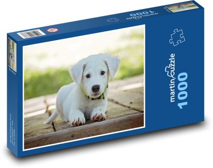 Szczeniak na patio - Puzzle 1000 elementów, rozmiar 60x46 cm