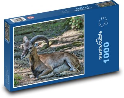 Mufflon - Puzzle 1000 pieces, size 60x46 cm 