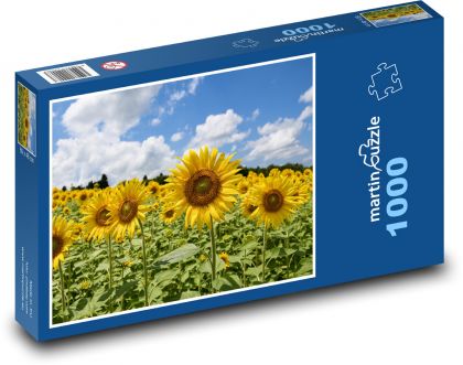 Slnečnicové pole - Puzzle 1000 dielikov, rozmer 60x46 cm