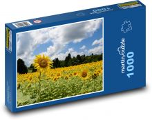 Pole slunečnic Puzzle 1000 dílků - 60 x 46 cm
