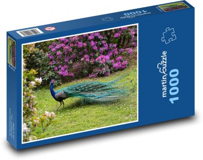 Páv v parku - Puzzle 1000 dielikov, rozmer 60x46 cm