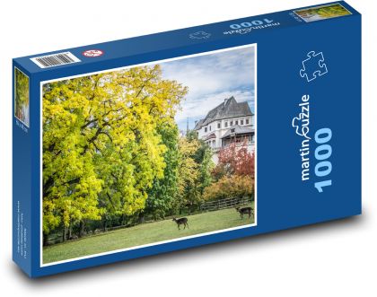 Chateau park - Puzzle 1000 pieces, size 60x46 cm 