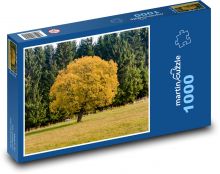 Strom, podzim Puzzle 1000 dílků - 60 x 46 cm
