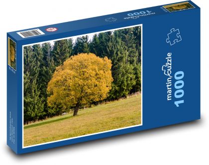 Strom, podzim - Puzzle 1000 dílků, rozměr 60x46 cm