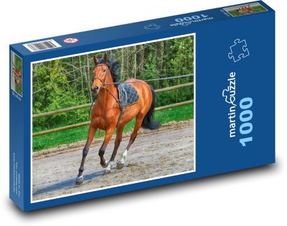 Zvířata - Kůň - Puzzle 1000 dílků, rozměr 60x46 cm