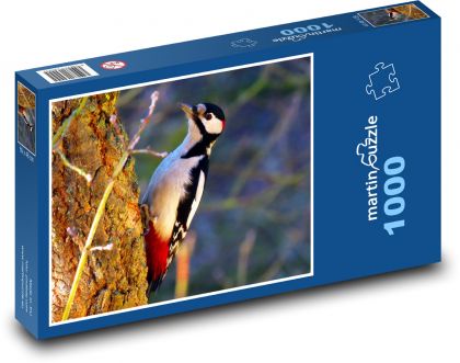Vták - Ďateľ - Puzzle 1000 dielikov, rozmer 60x46 cm