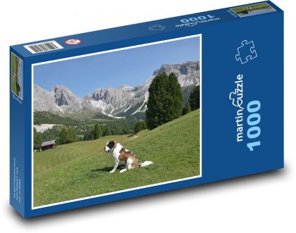 Bernardýn, Alpy - Puzzle 1000 dílků, rozměr 60x46 cm