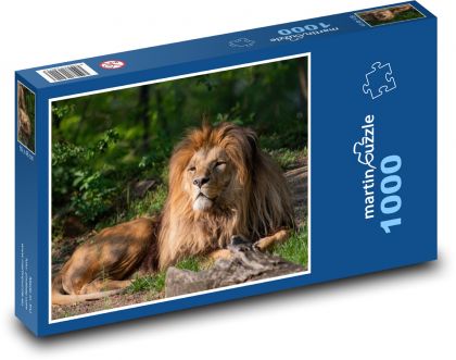 King of Animals - Lion - Puzzle 1000 pieces, size 60x46 cm 