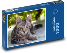 Zvíře - kočka Puzzle 1000 - 60x46 cm