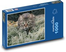 Kot domowy Puzzle 1000 elementów - 60x46 cm