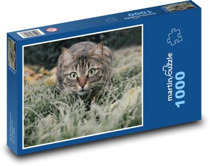 Domestic cat - Puzzle 1000 pieces, size 60x46 cm 