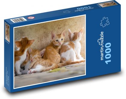 Koťata, kočky - Puzzle 1000 dílků, rozměr 60x46 cm