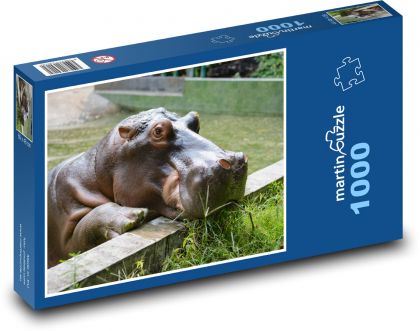 Zoo - hroch - Puzzle 1000 dielikov, rozmer 60x46 cm