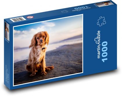 Pes, pláž - Puzzle 1000 dílků, rozměr 60x46 cm